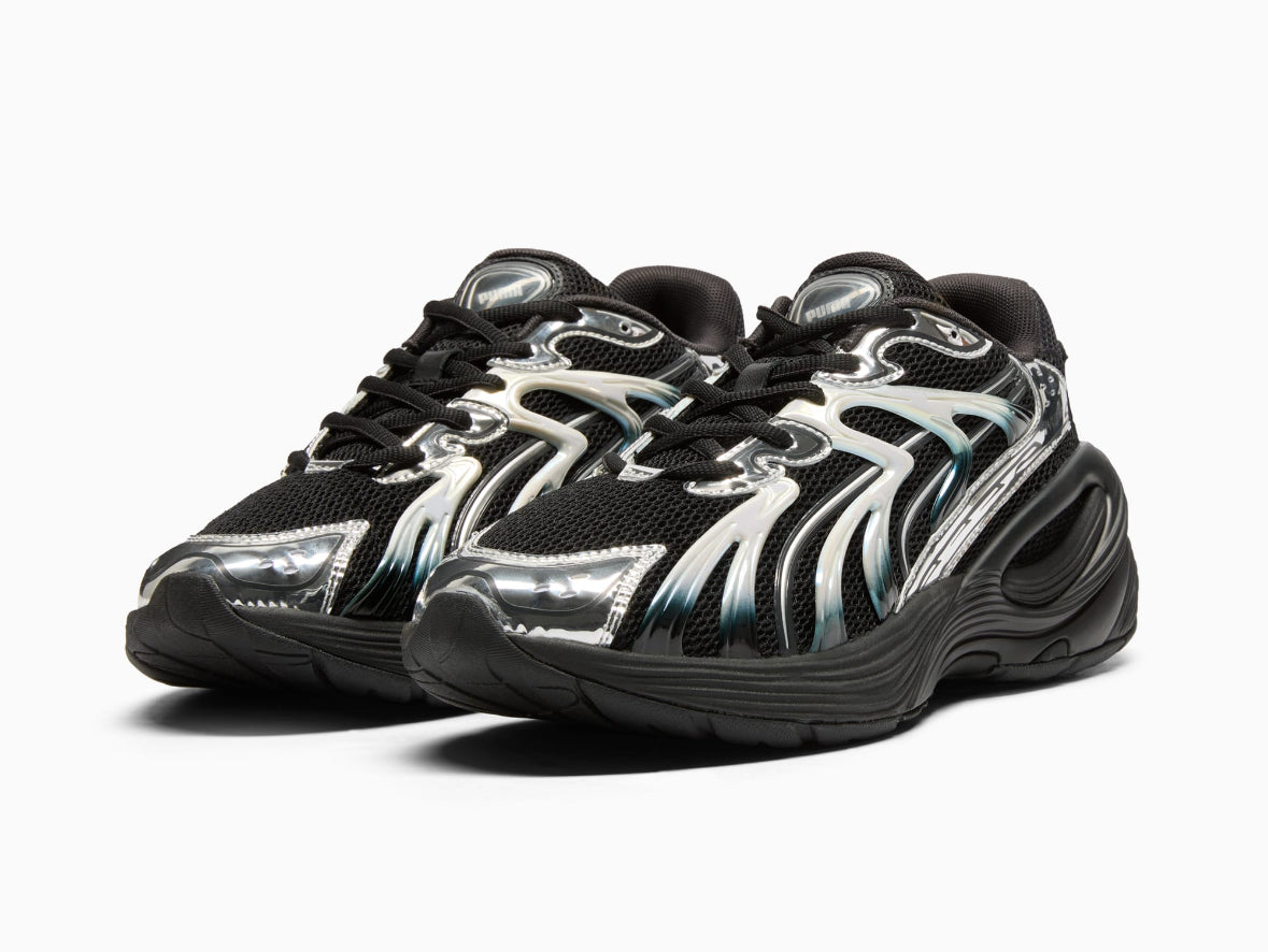 Puma inverse