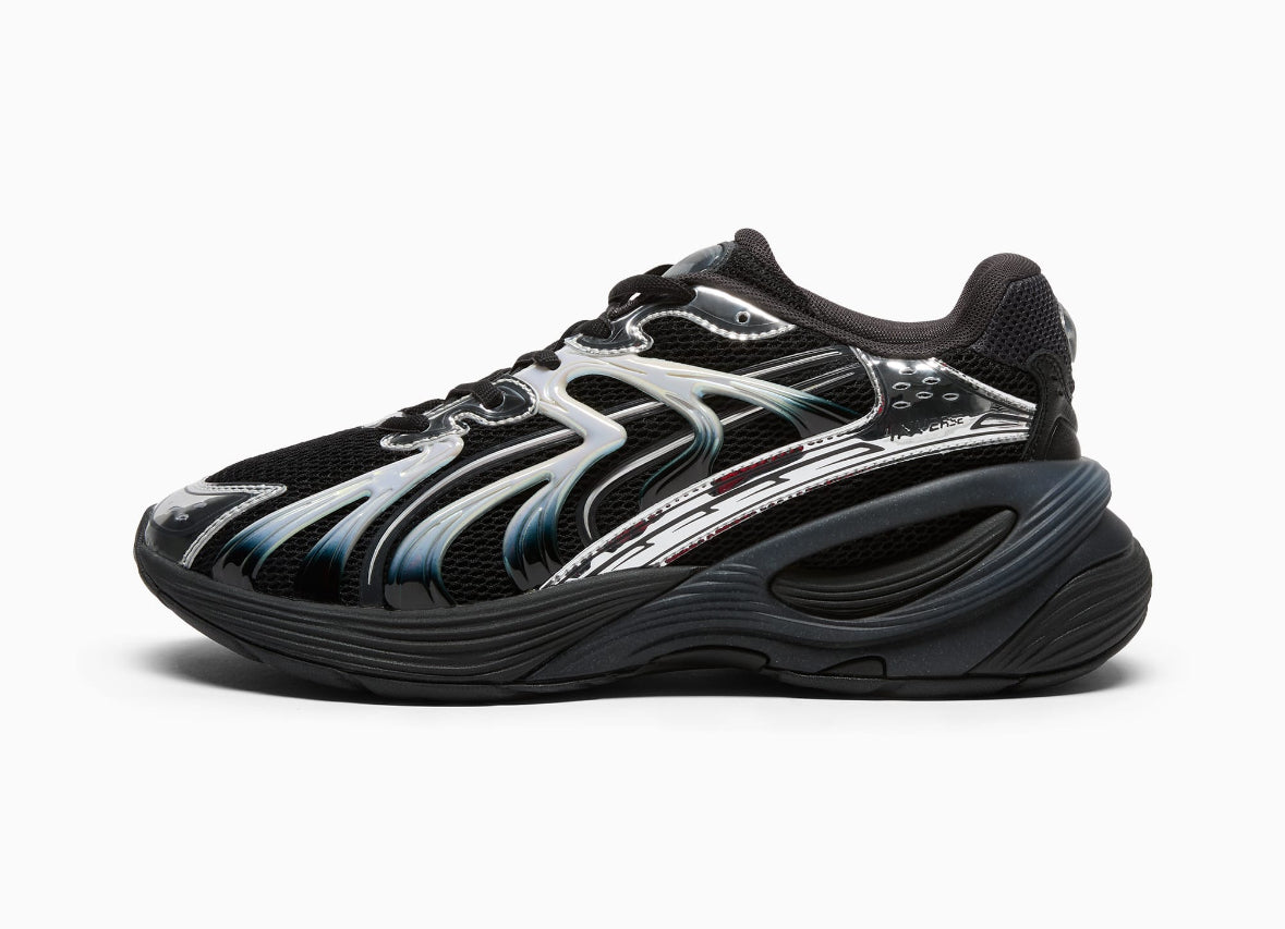 Puma inverse