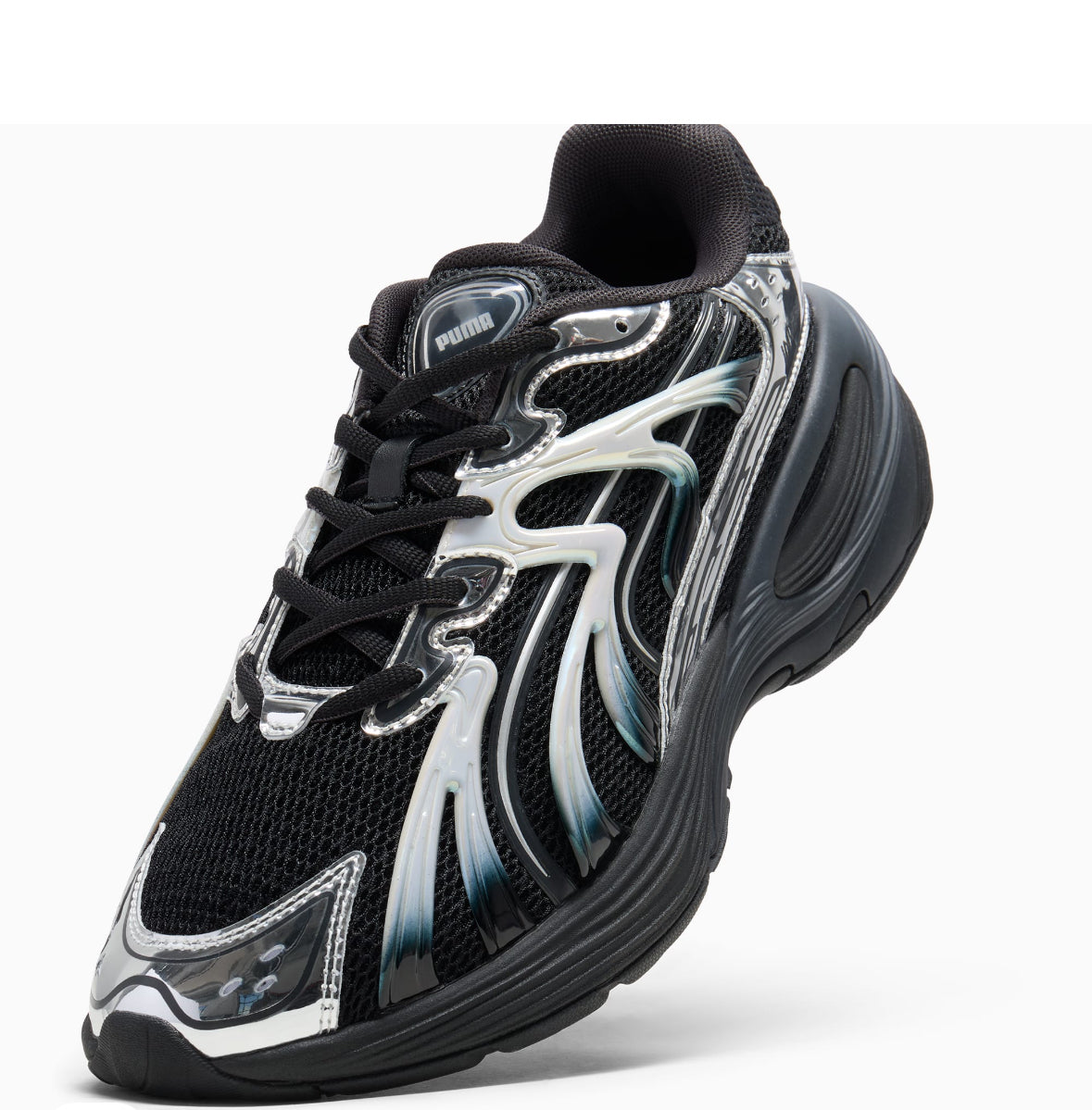 Puma inverse