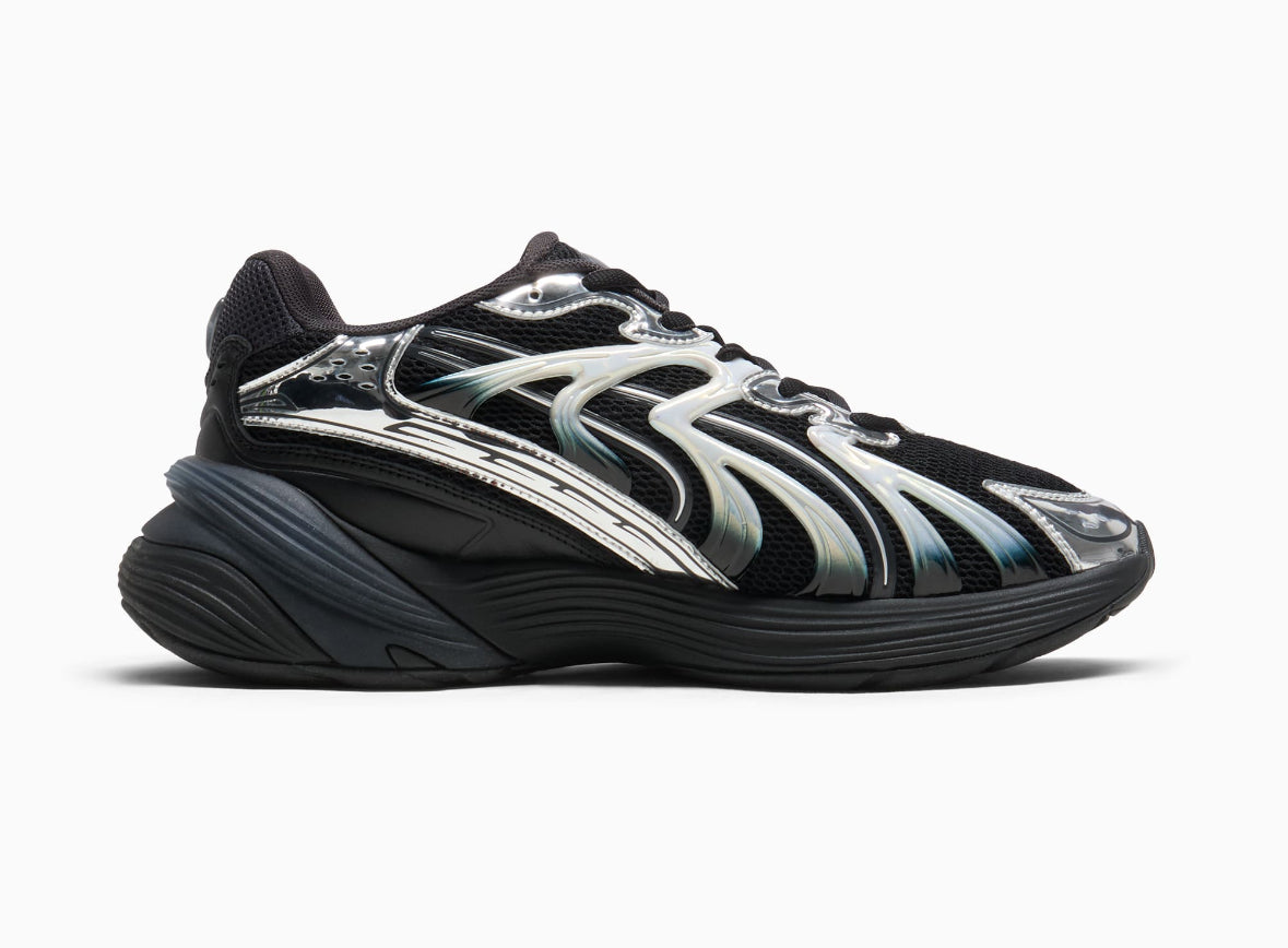 Puma inverse