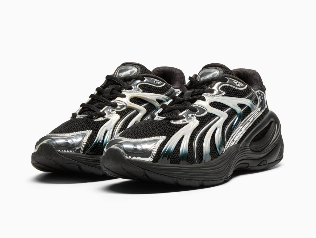 Puma inverse