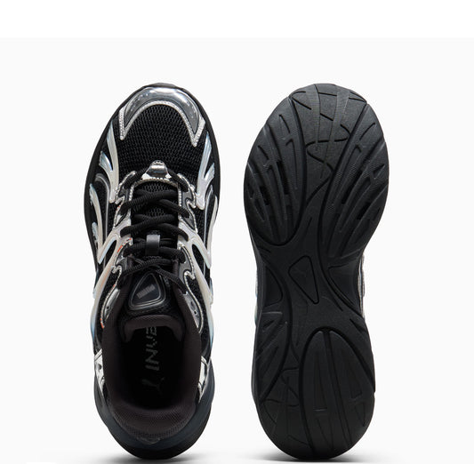 Puma inverse