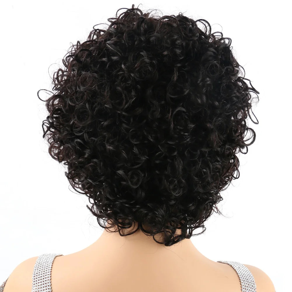 Pixie Cut Wig Human Hair Short Curly Human Hair Wigs For Black Women Cheap Human Hair Wig Full Machine Sans Colle Curly Wig Hair