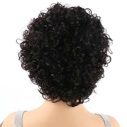 Pixie Cut Wig Human Hair Short Curly Human Hair Wigs For Black Women Cheap Human Hair Wig Full Machine Sans Colle Curly Wig Hair