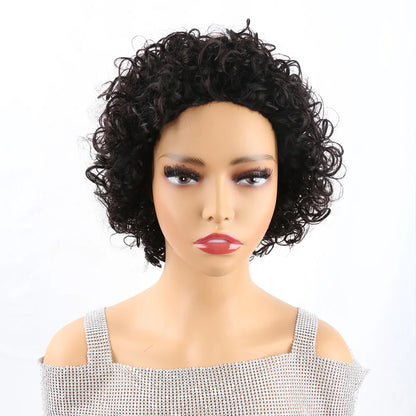 Pixie Cut Wig Human Hair Short Curly Human Hair Wigs For Black Women Cheap Human Hair Wig Full Machine Sans Colle Curly Wig Hair